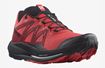 Picture of SALOMON PULSAR TRAIL POPPY RED/BIRD/BLACK